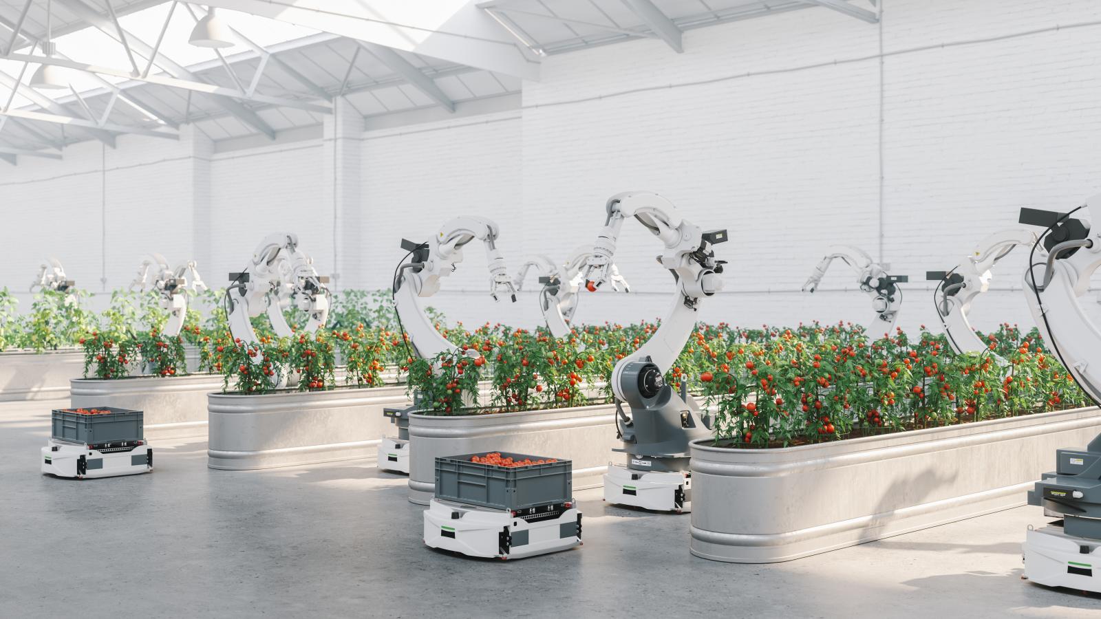 Imagem de um ambiente agrícola indoor automatizado. Braço robóticos cuidando e colhendo os frutos vermelhos de canteiros com plantações verdes.  